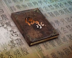 央视报道