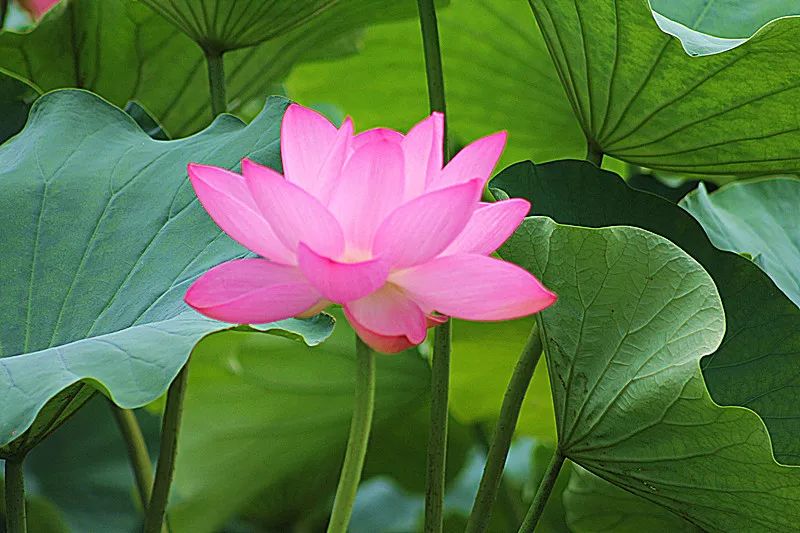 善良，不允许被苛责——连山易，初心不忘，砥砺前行